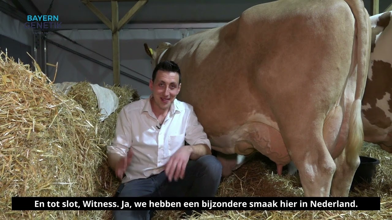 Bayern Journaal 9 januari 2025