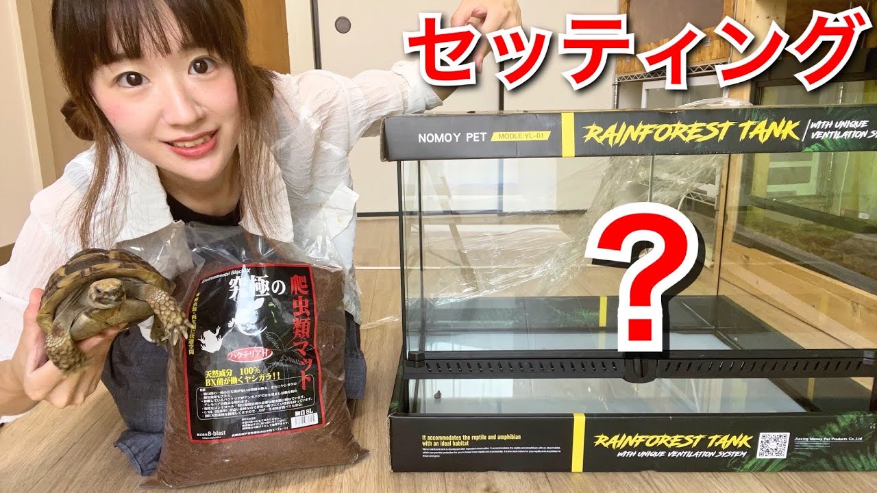 【お引越し】新ケージにリクガメの飼育環境をセッティング！