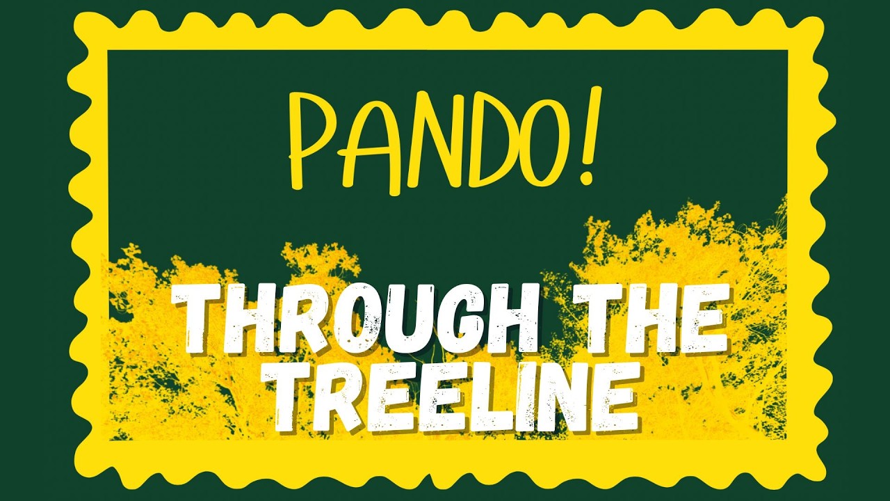 Pando | Through The Treeline | Ep.1