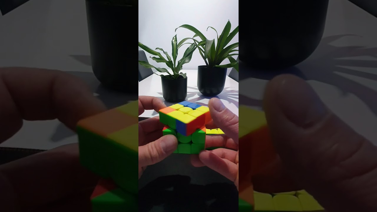 F permutation