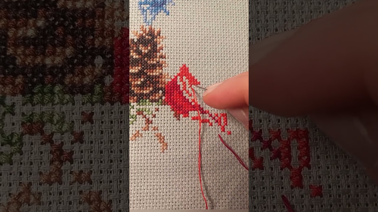 Stitching on Aida