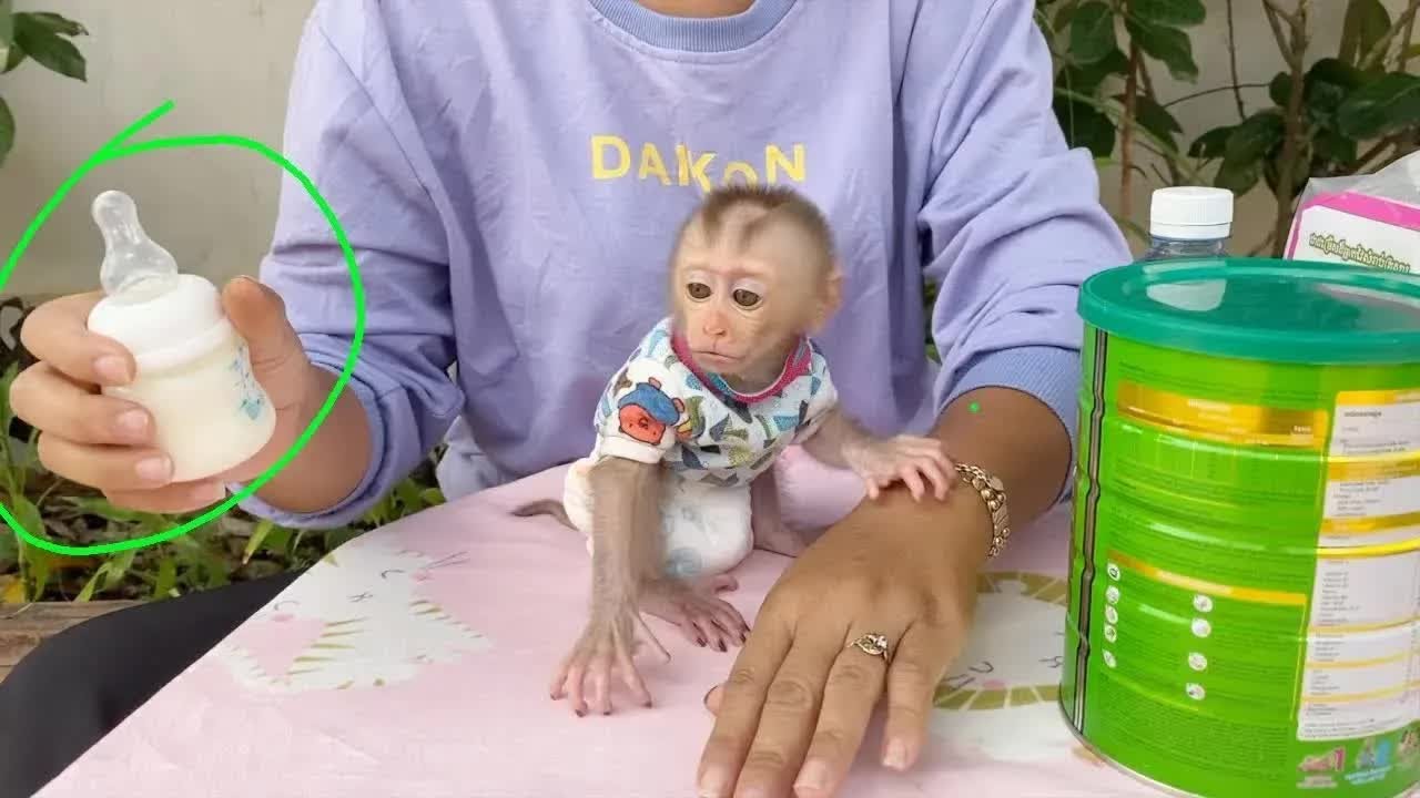 BB DAM Full Of Moody Mom Reject Him To Grabbing Milk