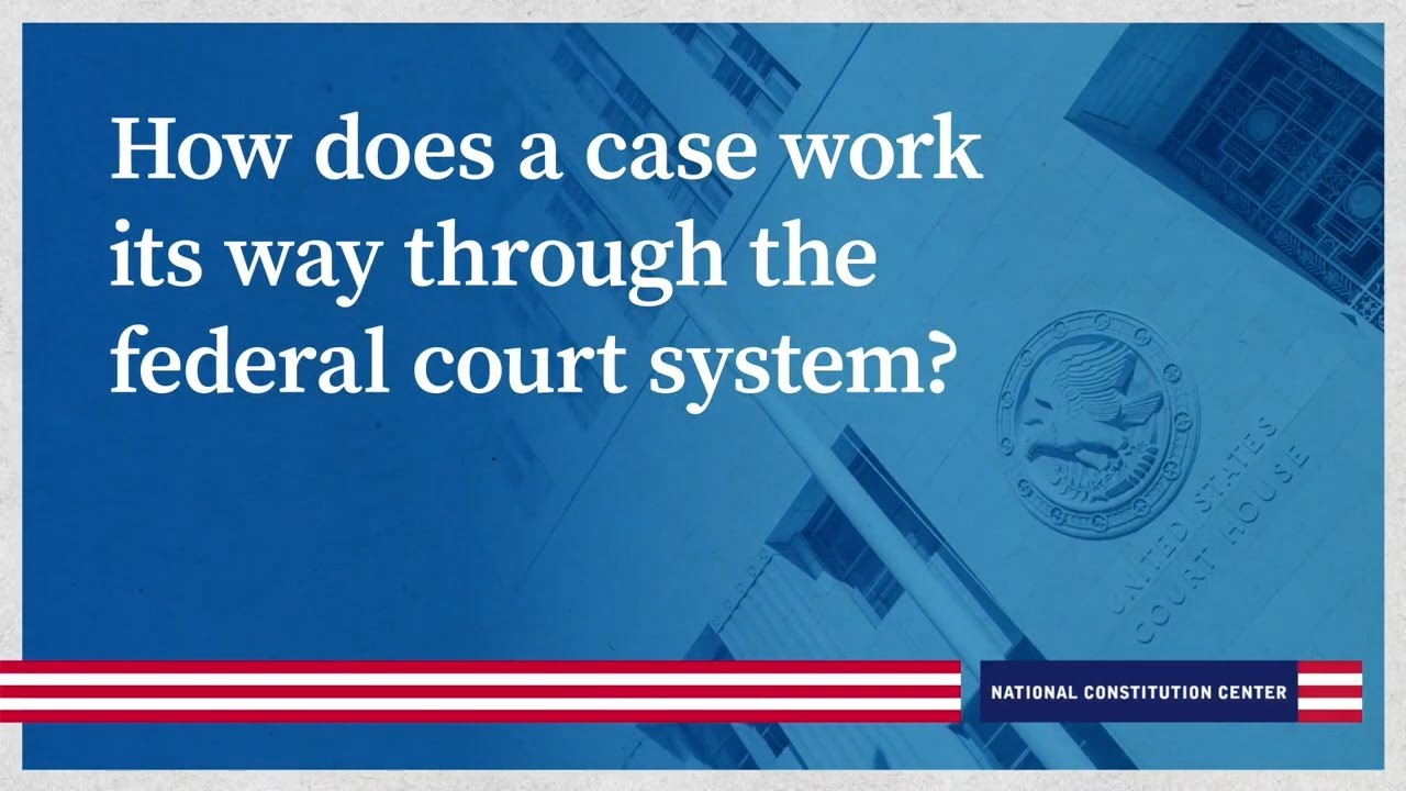 How does a case work its way through the federal court system?