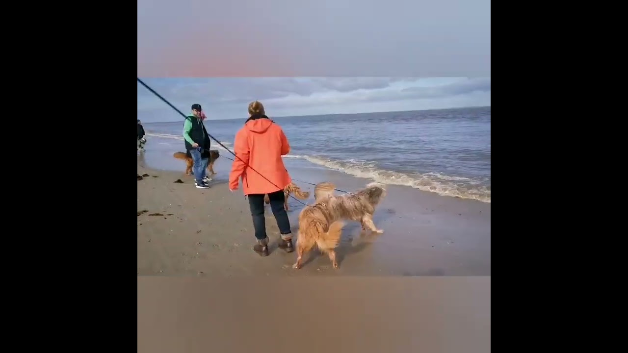 Kurze Auszeit in Schillig an der Nordsee im Oktober 2023