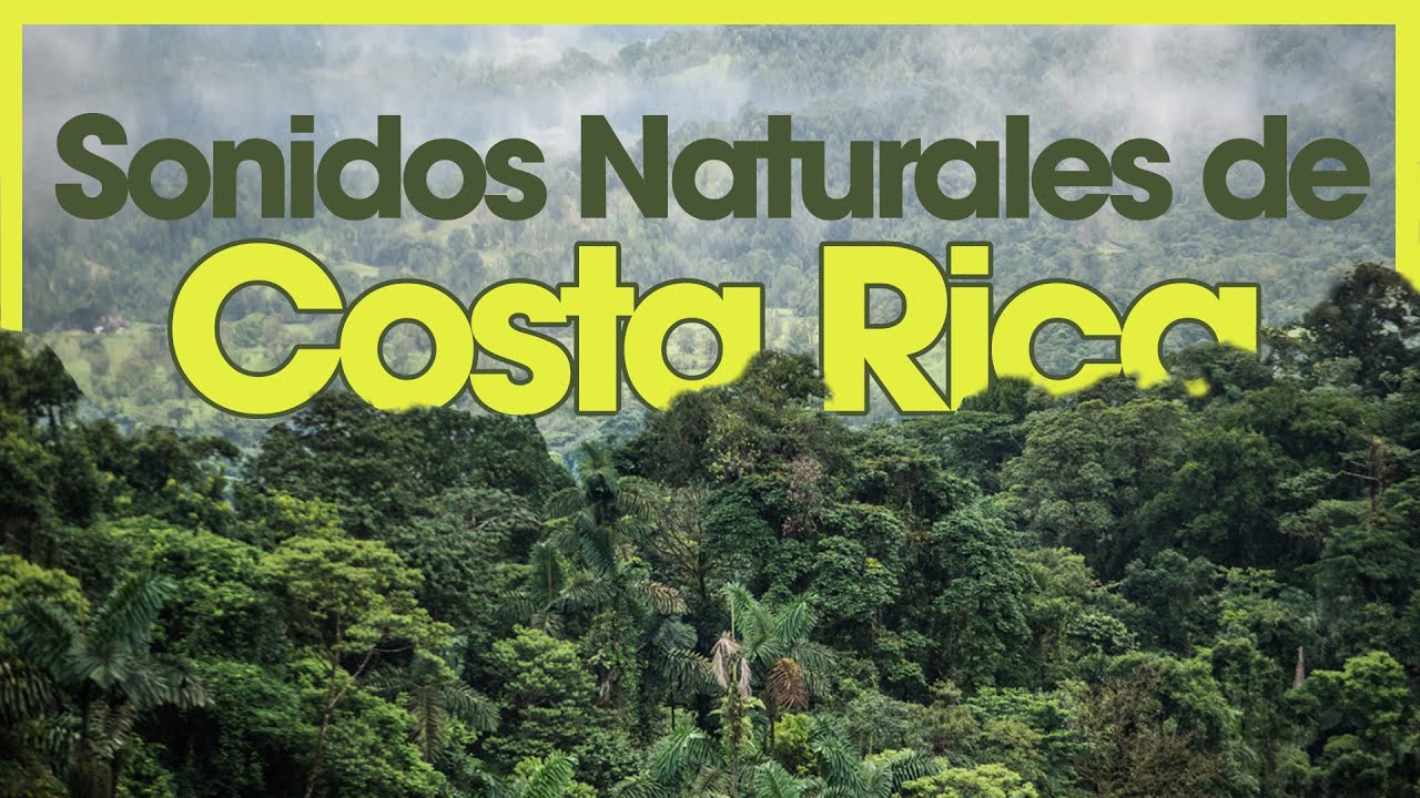 🍃SONIDOS naturales de COSTA RICA🇨🇷