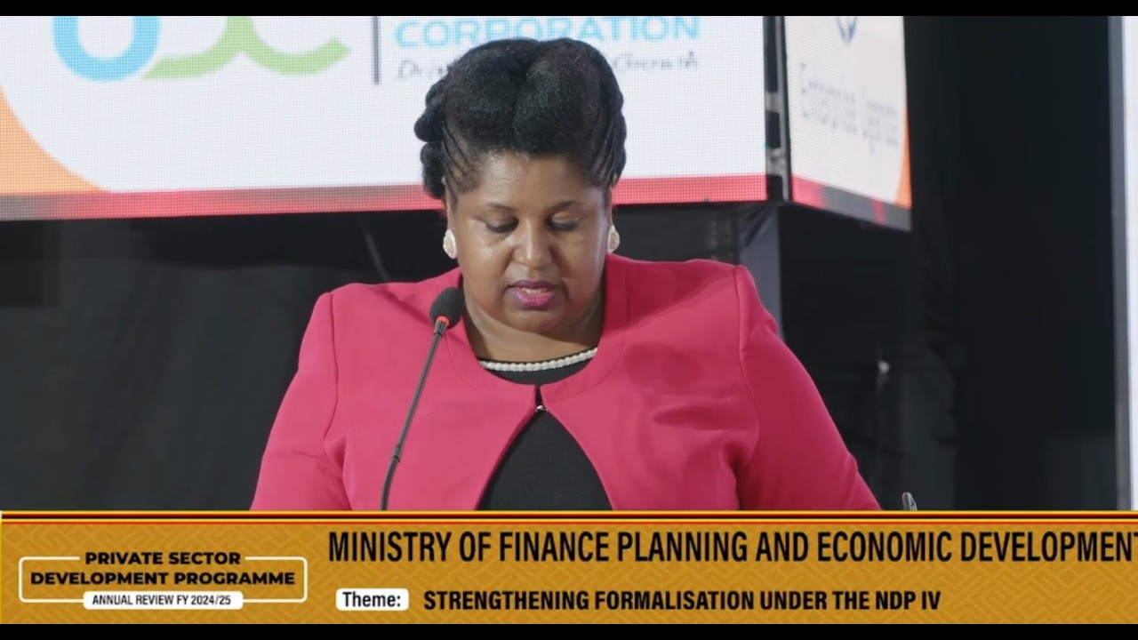 PRIVATE SECTOR DEVELOPMENT PROGRAM REVIEW FY 24/25 AT MESTILL 12TH FEB .2026