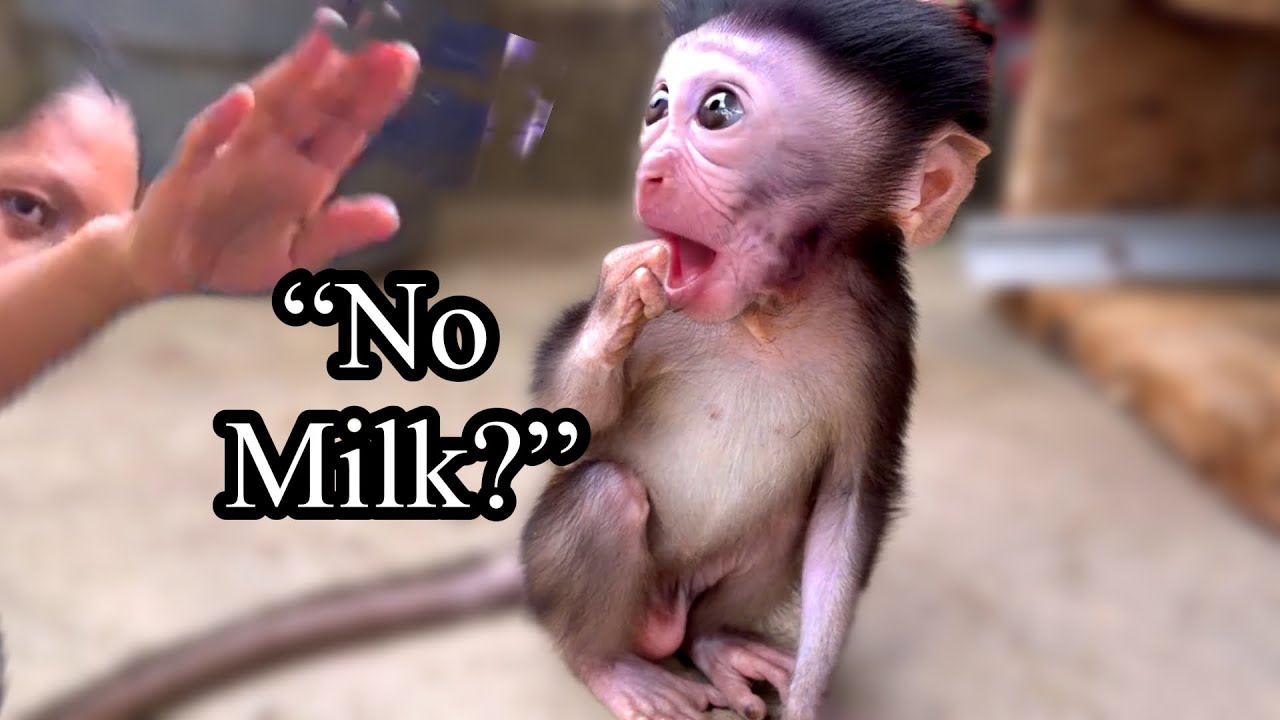 She Thought It Was Milk… But No 😭