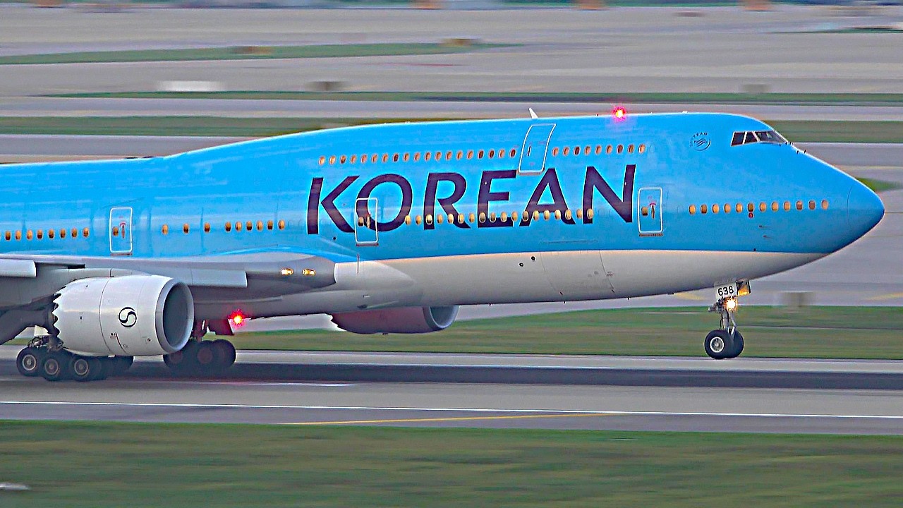 ✈️ 대한항공의 새로운 얼굴! 대한항공 New Livery 전 기종 라인업!
