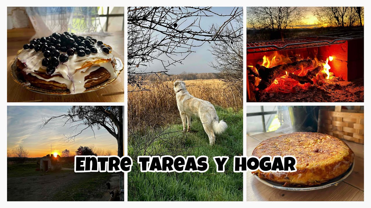 #210 🏡Cuando el invierno da tregua en la finca🏡/ Tortilla de patatas magnifica 😍/Plantamos olivos 🌱