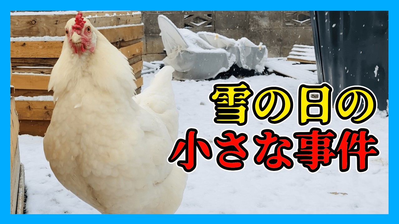とある冬の日に起きたヒヤッとした出来事