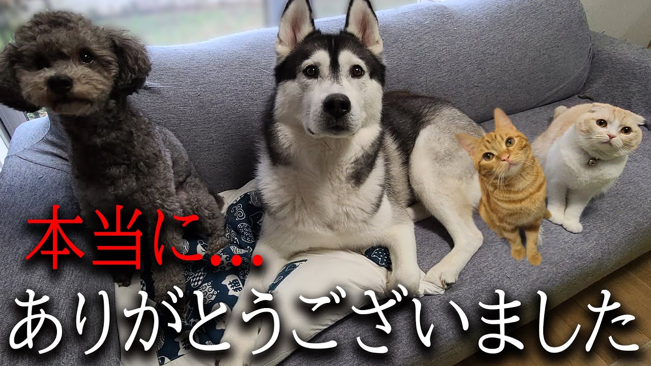 みなさま1年間ありがとうございました..