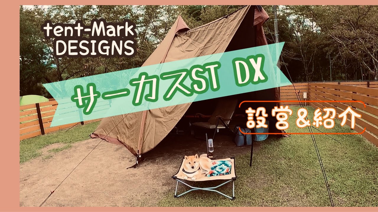 【キャンプギア】新幕サーカスSTDXの設営＆張り方紹介