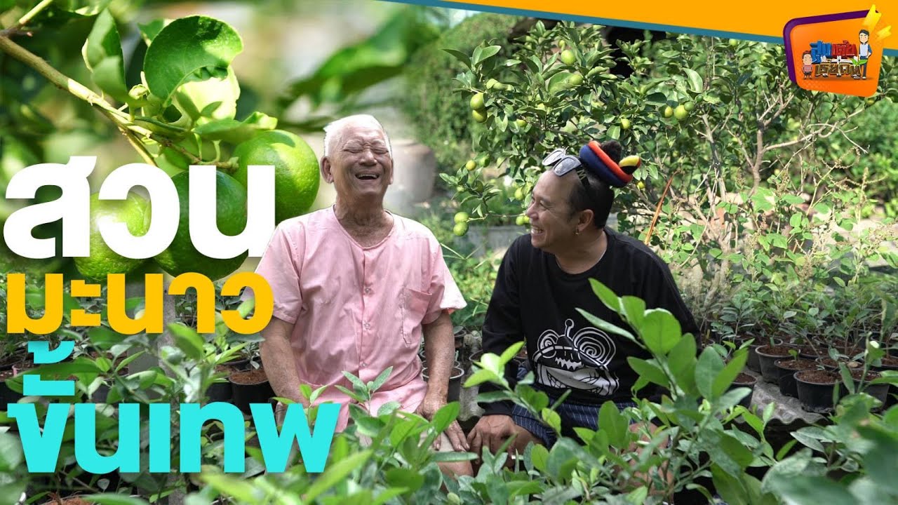 100 ล้านไม่ขาย จะเอาไว้ทำสวนมะนาว - สูงเตี้ยเรี่ยดิน EP.66 (1/2)