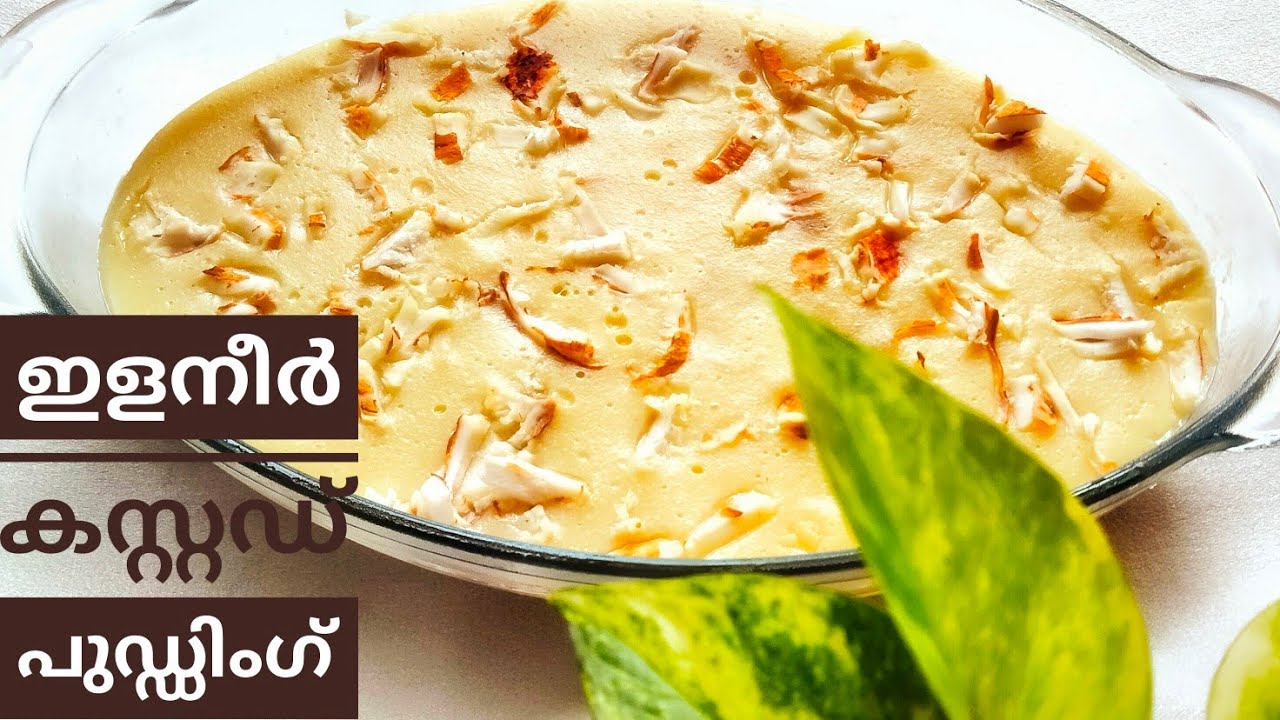 ചൈന ഗ്രാസ് ഇല്ലാതെ Tender coconut custard  pudding //tender coconut pudding recipe in Malayalam