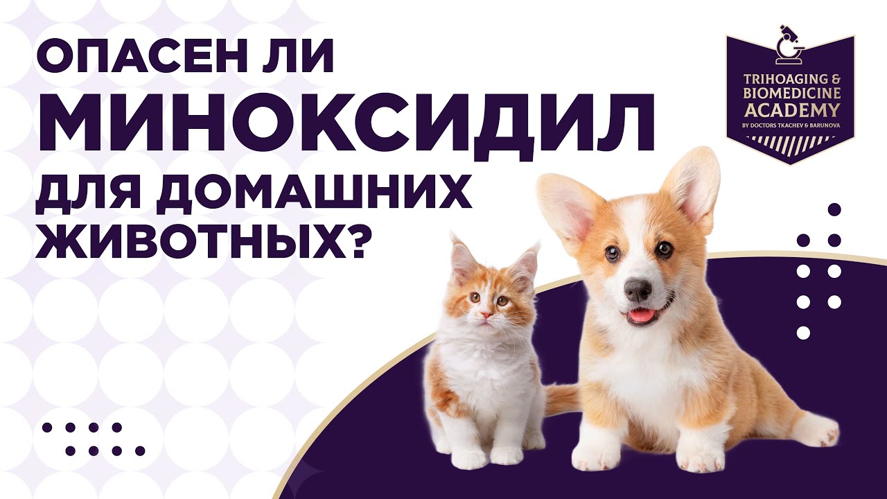 Опасен ли миноксидил для домашних животных?