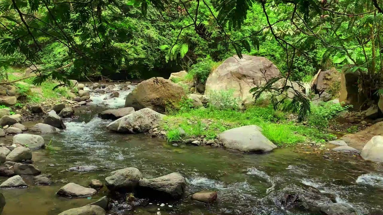 Tranquil River Flow for Relaxation and Emotional Balance