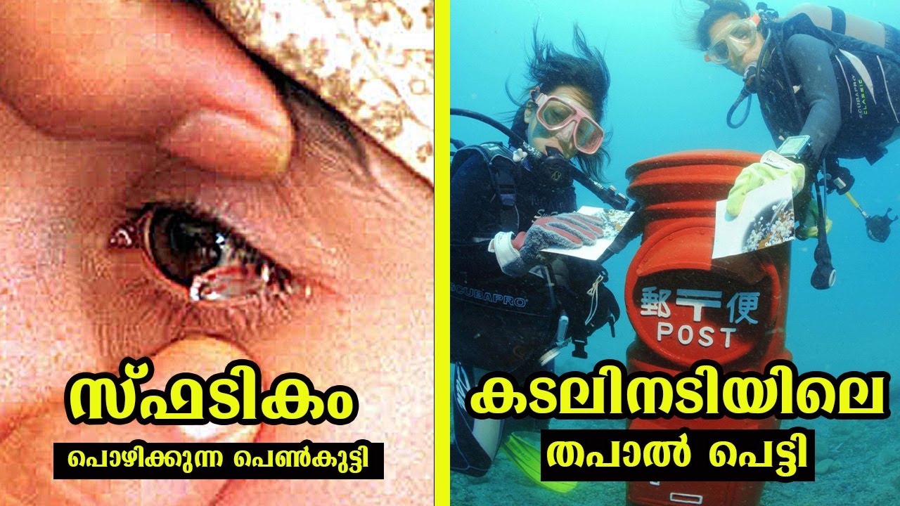 നിങ്ങളിതുവരെ കണ്ടിട്ടില്ലാത്ത ചില അത്ഭുതങ്ങൾ | Unbelievable Things You Never Saw Before