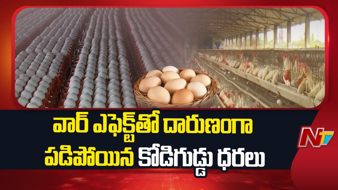 Middle East War Halts Indian Egg Exports | East Godavari district | NTV Telugu