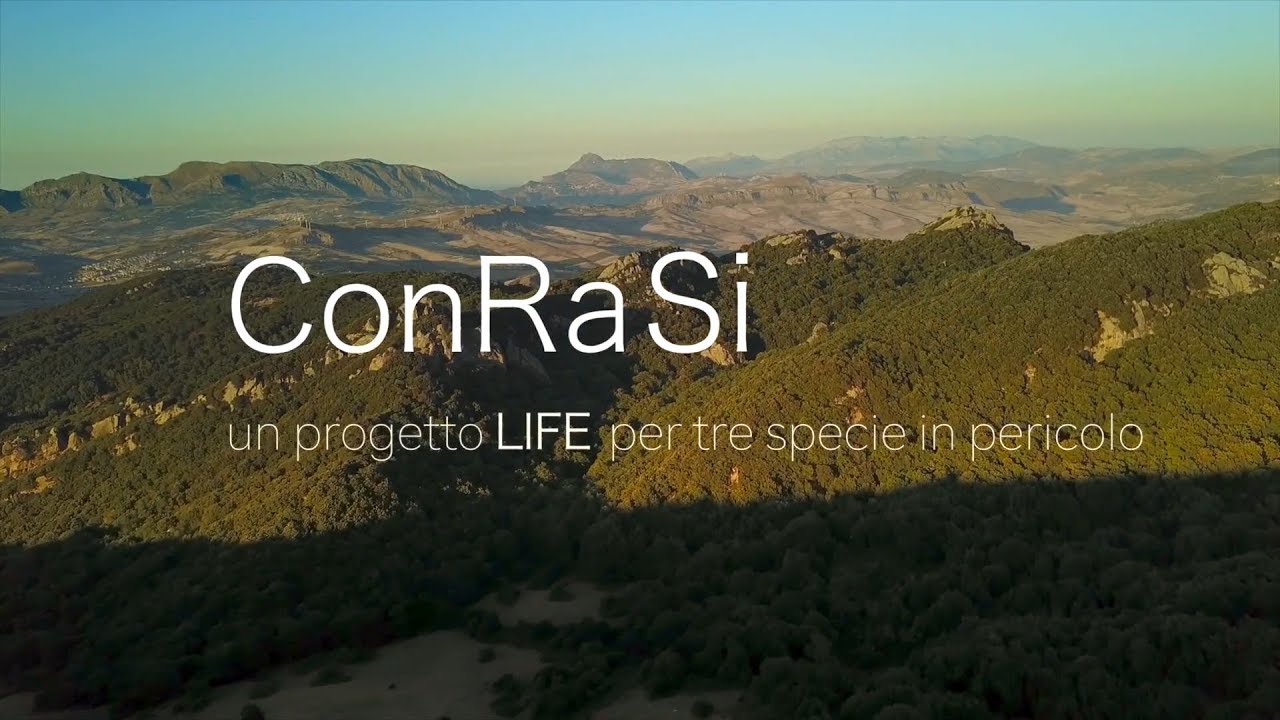 Conservazione dei Rapaci in Sicilia-LIFE ConRaSi - Aprile 2018