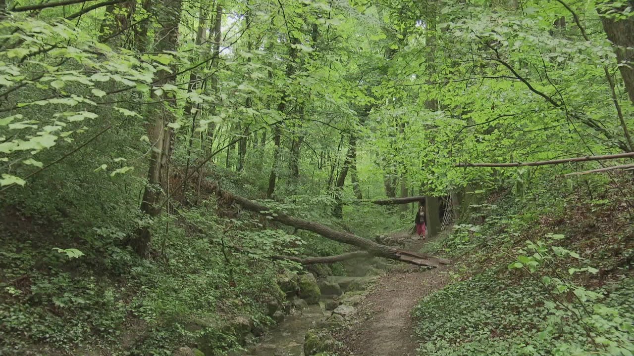 J'ai mal &agrave; ma terre | Faut pas croire