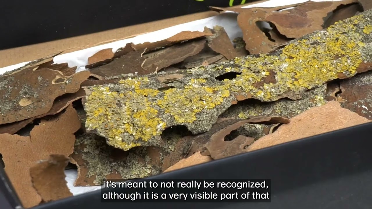 Sculpture Network Studio Visits - Ian Jackson