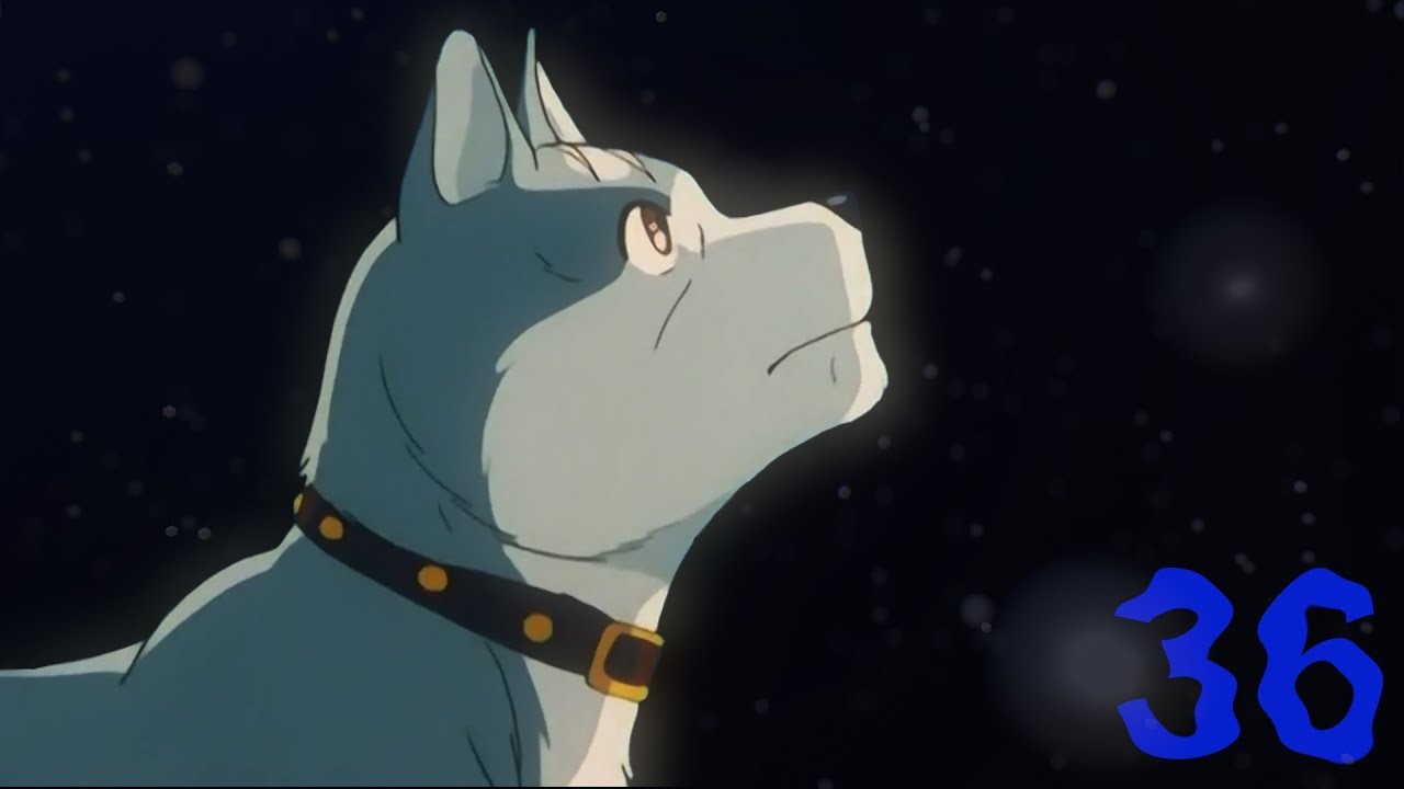 Ginga: Nagareboshi Gin | 36th Anniversary