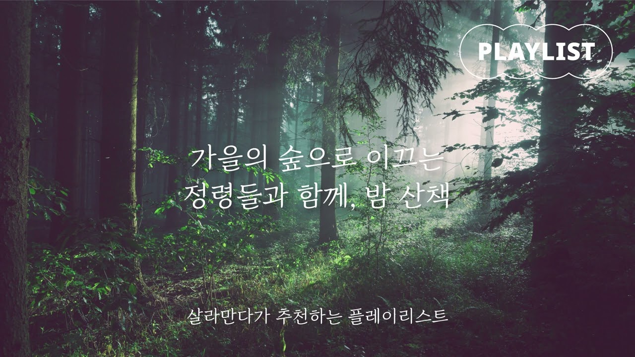 [Playlist] 가을의 숲으로 이끄는 정령들과, 밤 산책