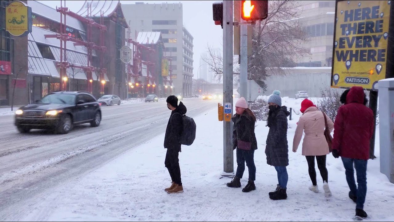 Calgary winter life - Snowfall and Ramsay neighborhood and Snow Driving #calgary #canada #alberta