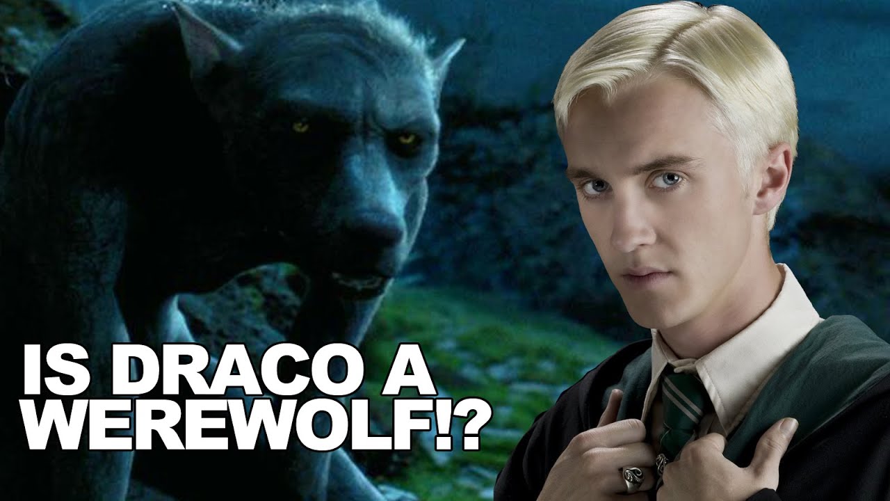 Is Draco Malfoy a Werewolf!?