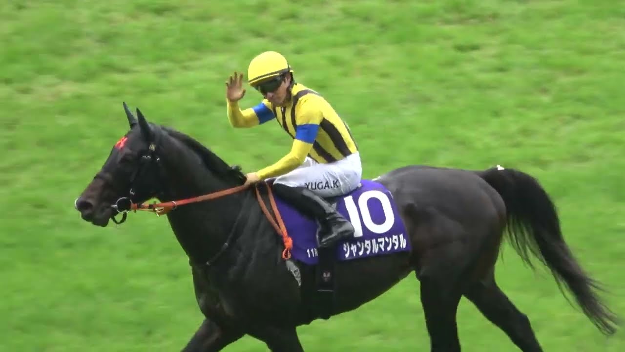 【安田記念2025】トレーナーとの約束ガッツポーズを披露の川田将雅 完勝だったジャンタルマンタル 現地映像
