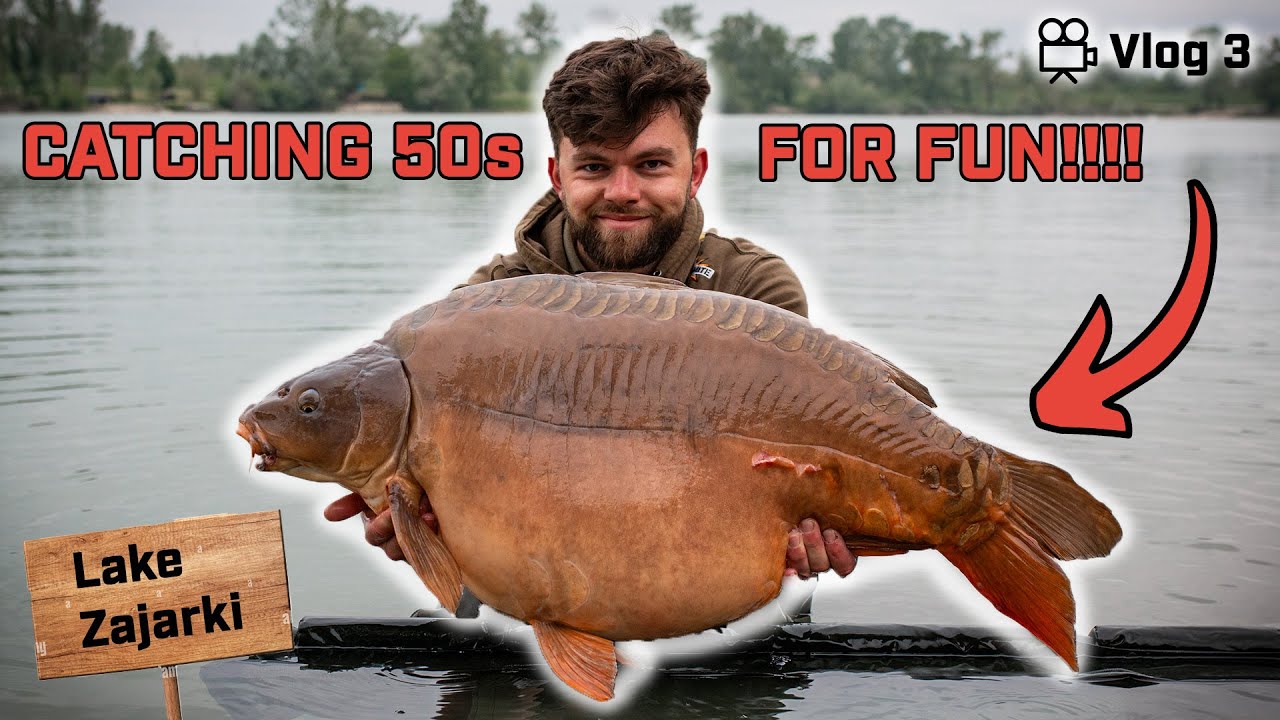 НОВОЕ место дало всего 50 фунтов + карпа 🤯 - Lake Zajarki Vlog-3