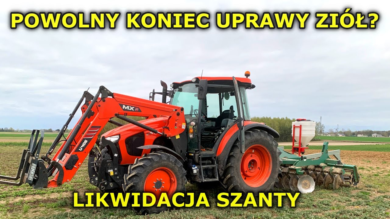 Likwidacja szanty. Czy będziemy kończyć z uprawą ziół?