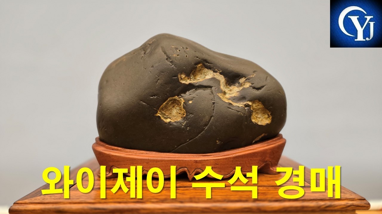 와이제이수석경매 2월 17일(화) 회원가입 010-6266-6404로 성함, 닉네임, 주소 보내주세요 실시간 경매 라이브 지금실시간 수석경매 수석경매장 와이제이수석 와이제이수석경매