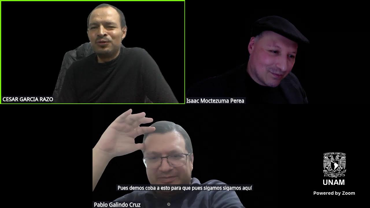 PROGRAMA OBSERVATORIO SISTEMICO SOCIAL