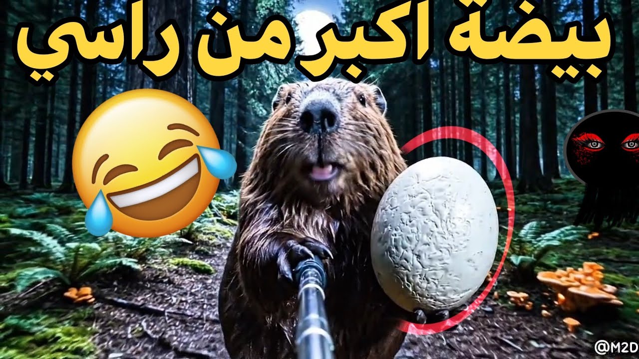 فلوك في الغابة المظلمة ! البحث عن الديناصورات ! لقيت بيضه اكبر من راسي #قندوس 