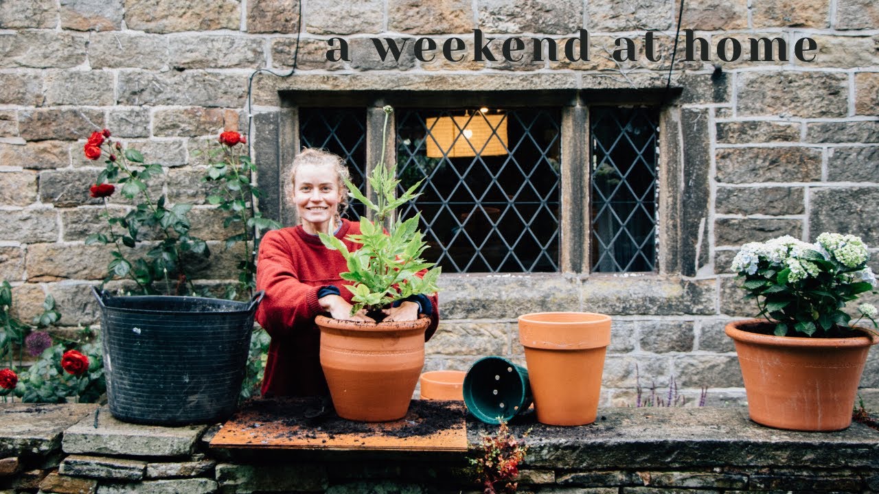 Creating a Cottage Garden | vlog