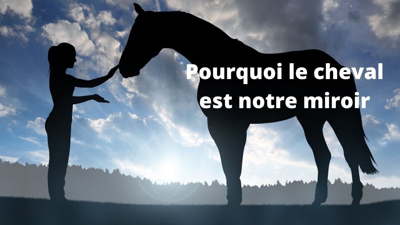 Pourquoi le cheval est notre miroir ?