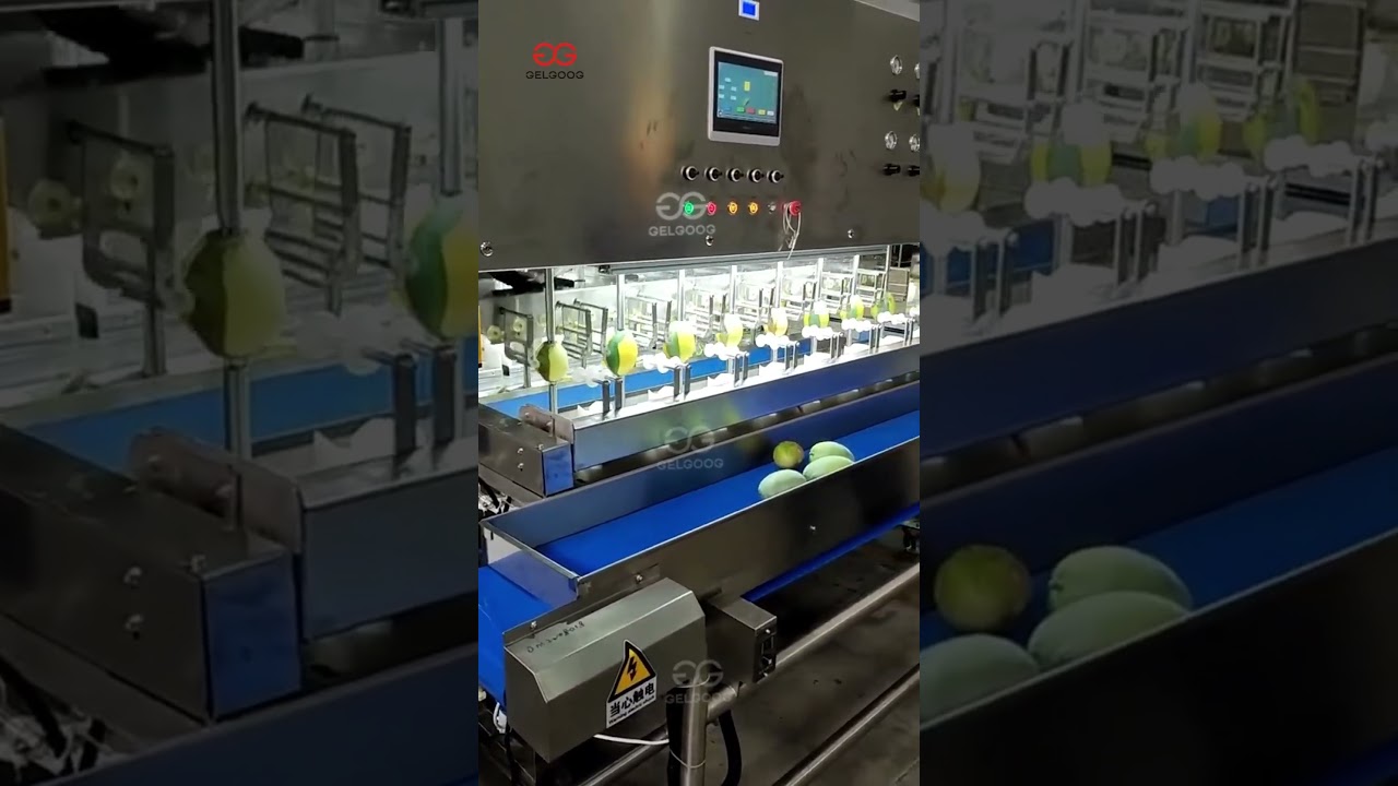 Mango Peeling Machine High Speed