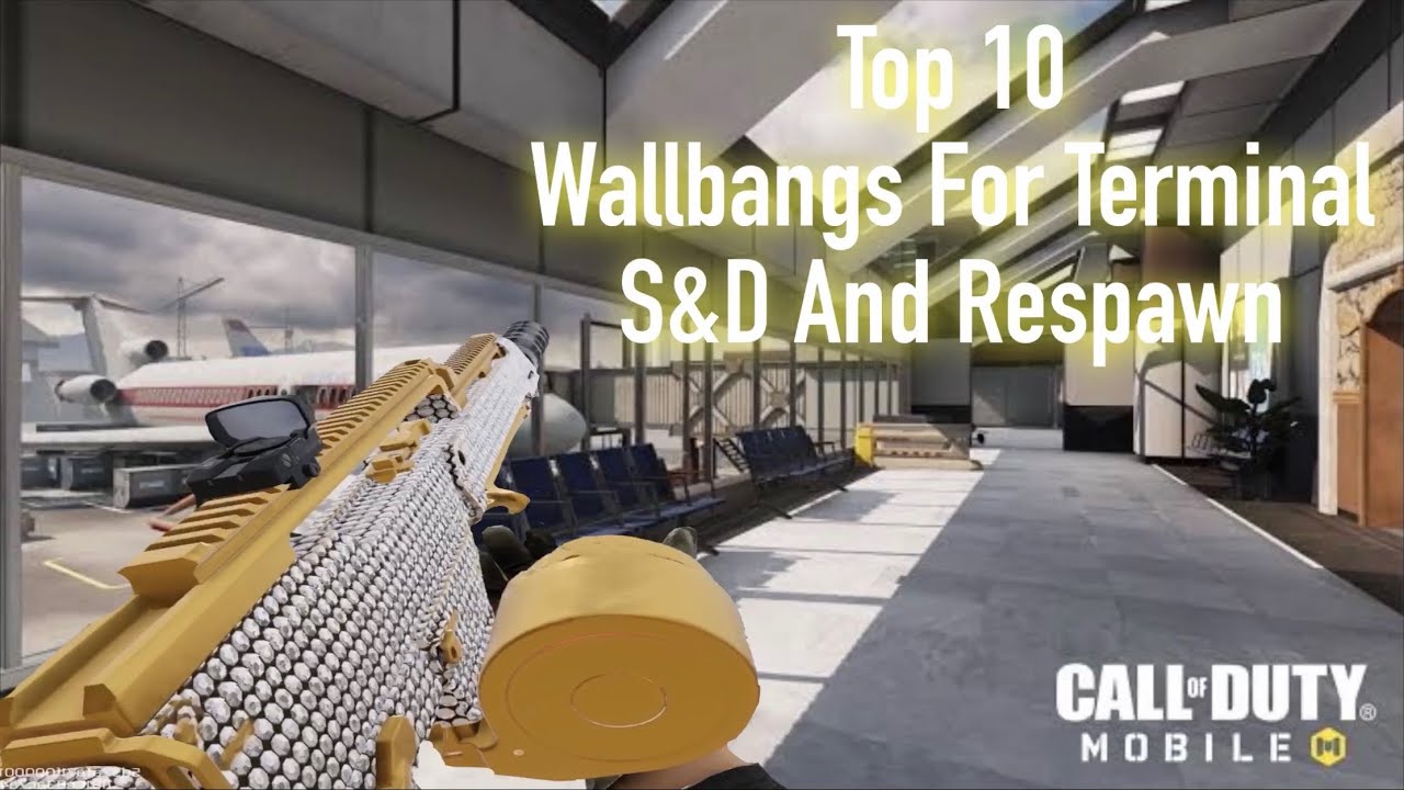 10 Wallbangs Pro Players Dont Want You To Remember (LMG Terminal Edition)
