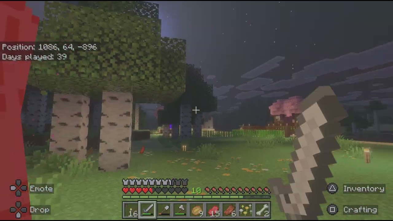 Minecraft