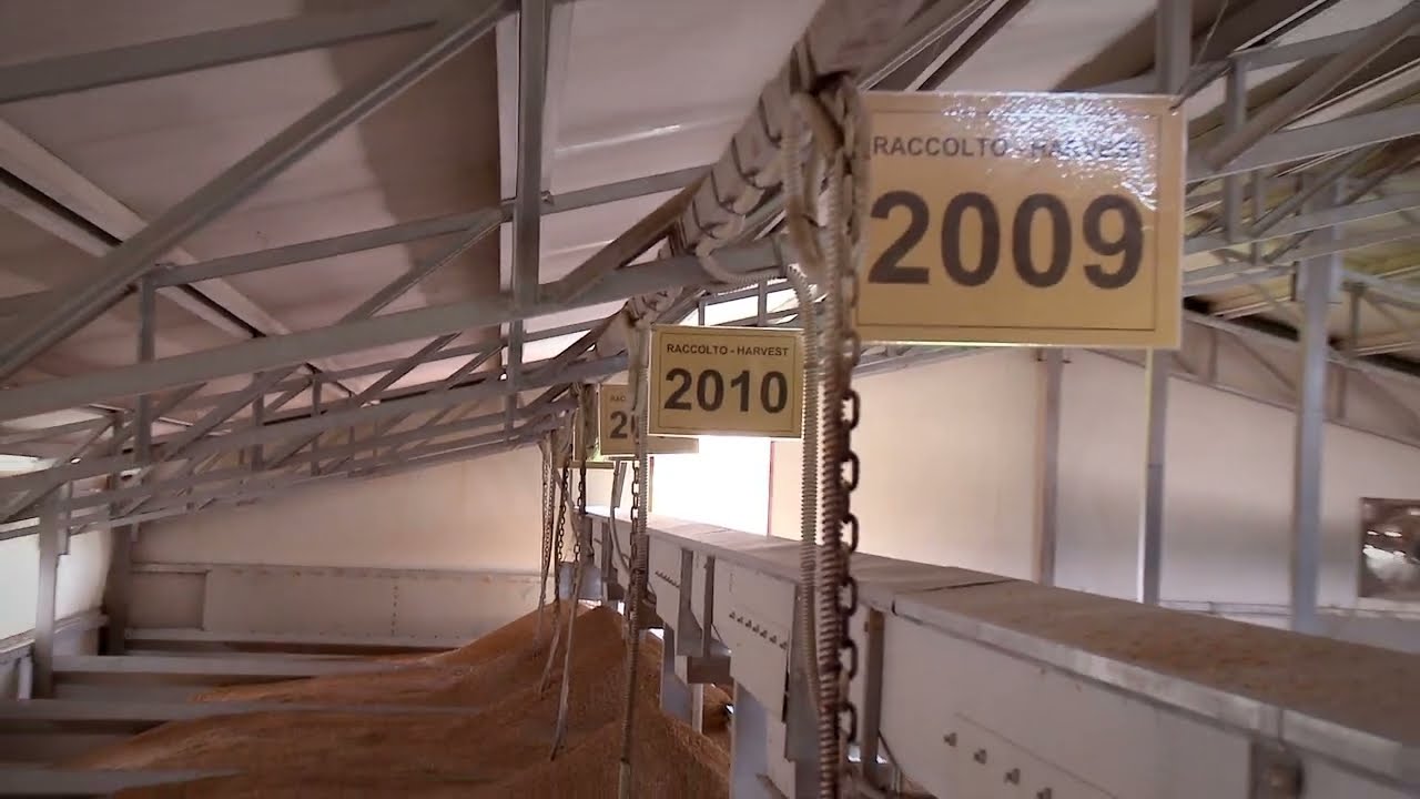 The story of an Acquerello rice grain