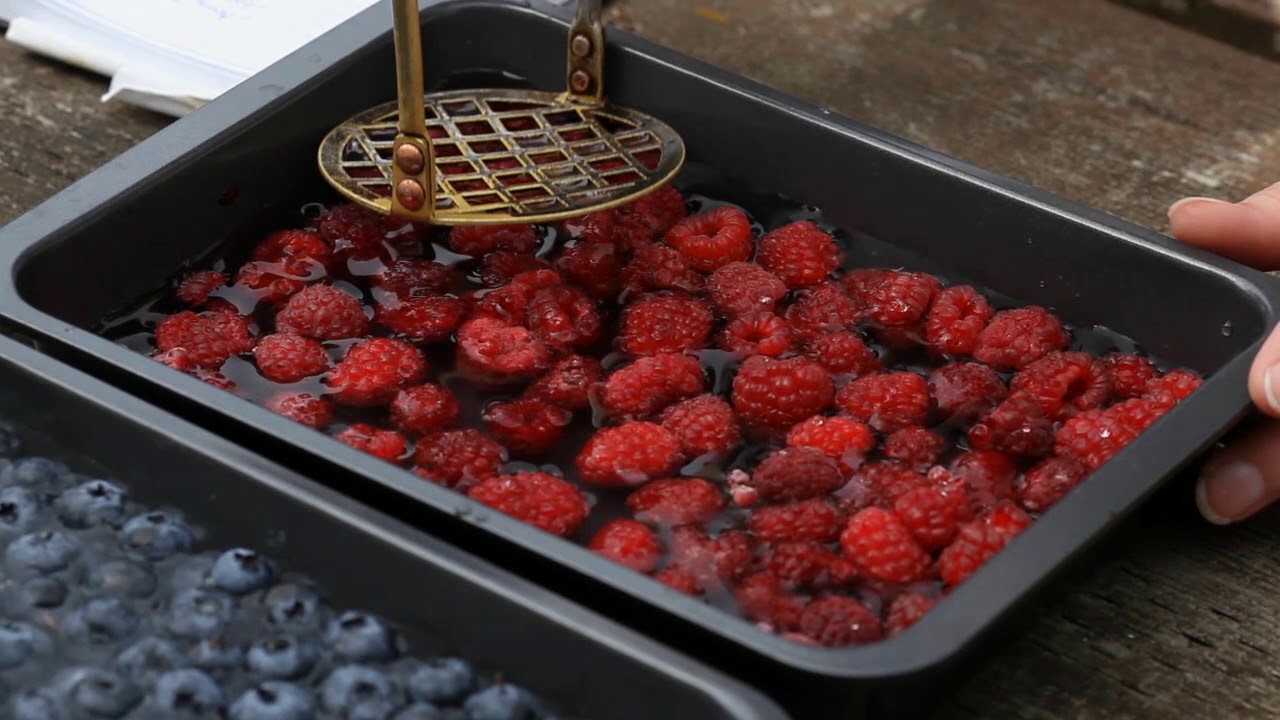 Monitoring for Spotted Wing Drosophila Using Salt Water Float Tests