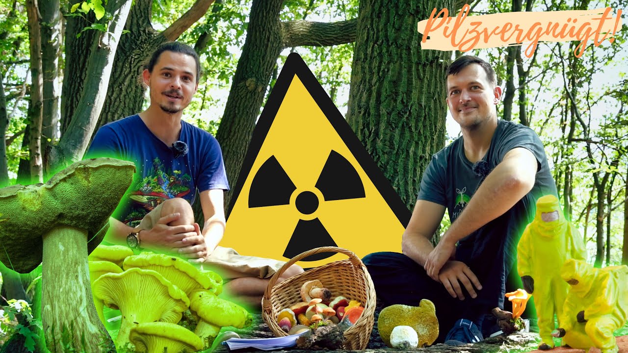 Radioaktive Pilze 😱 Wie gefährlich sind verstrahlte Pilze wirklich? ☢️