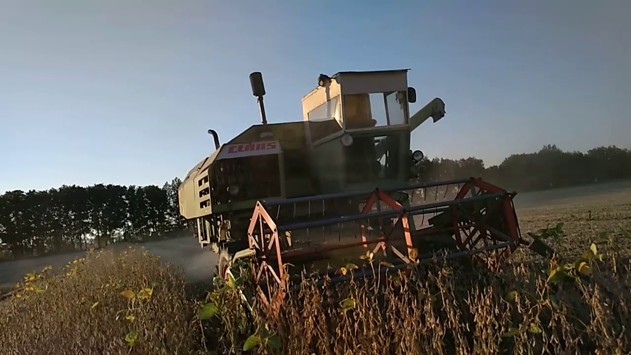 Збирання сої Claas Consul 20.09.2018