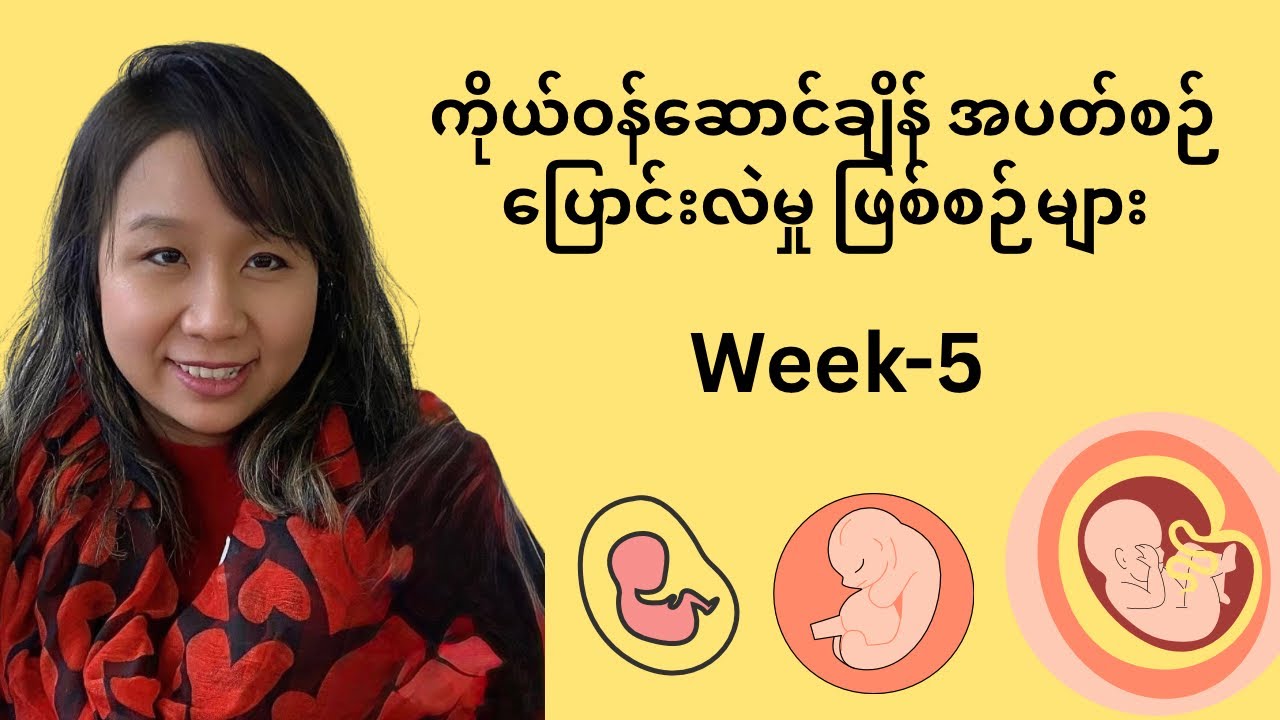 ကိုယ်ဝန်ဆောင်ချိန် အပတ်စဉ်ပြောင်းလဲမှုဖြစ်စဉ်များ (Week-5)