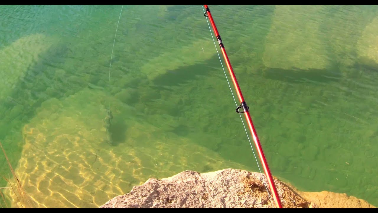 Pesca de lucios a pez visto, ataques en directo a Black Minnow