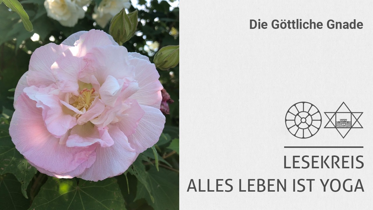 Die Göttliche Gnade (Sri Aurobindo | Die Mutter)