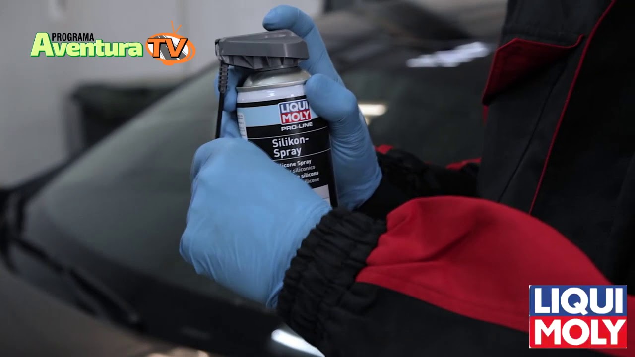 Liqui Moly Paraguay. Presentación de aerosoles de la linea Pro-Line.