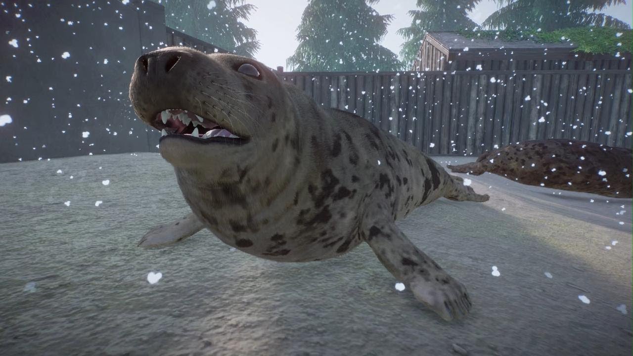 Planet Zoo Aquatic Pack: Grey Seal