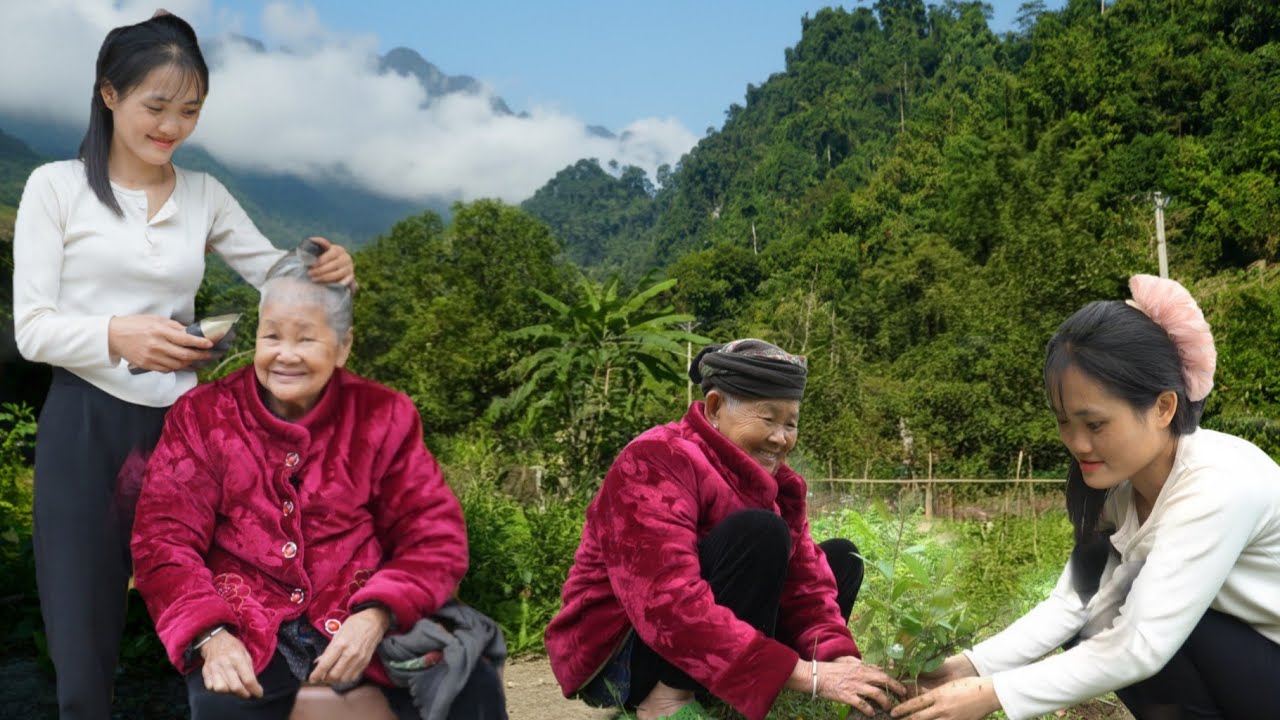 Three generations live together happily, helping the elderly woman cut her hair and plant trees